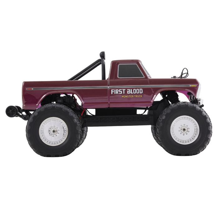 FMS 1/10 Ford F100 RTR