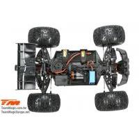 Team Magic 1/10 E5HX Brushless Electric Monster Truck RTR - 5100030
