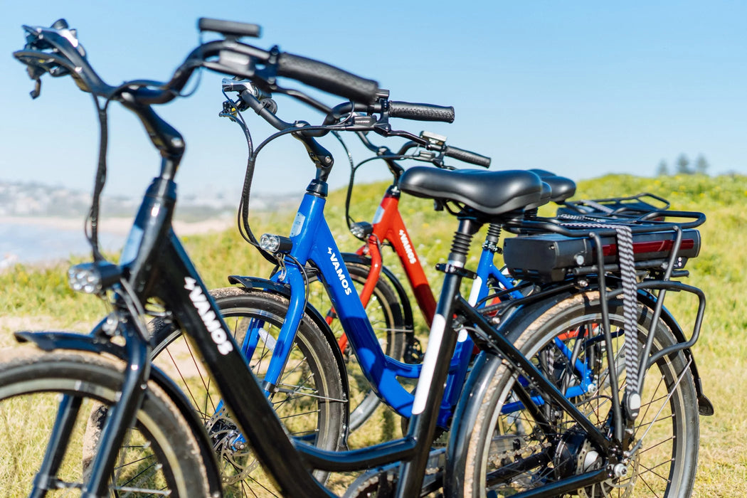 RAPIDO 2021 - DAILY COMMUTER E-BIKE