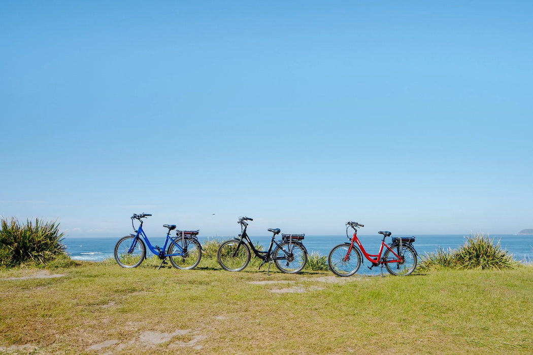 RAPIDO 2021 - DAILY COMMUTER E-BIKE