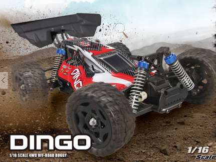 Dingo rc car shop