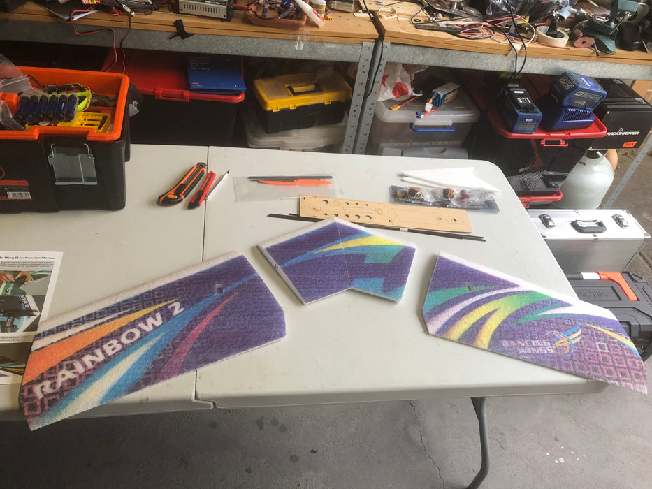 Dancing Wings Hobby E0604 RC Airplane 3CH Radio Remote Controlled with Electronics